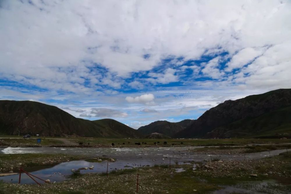 在巴塘草原当骑兵是怎样一种感受