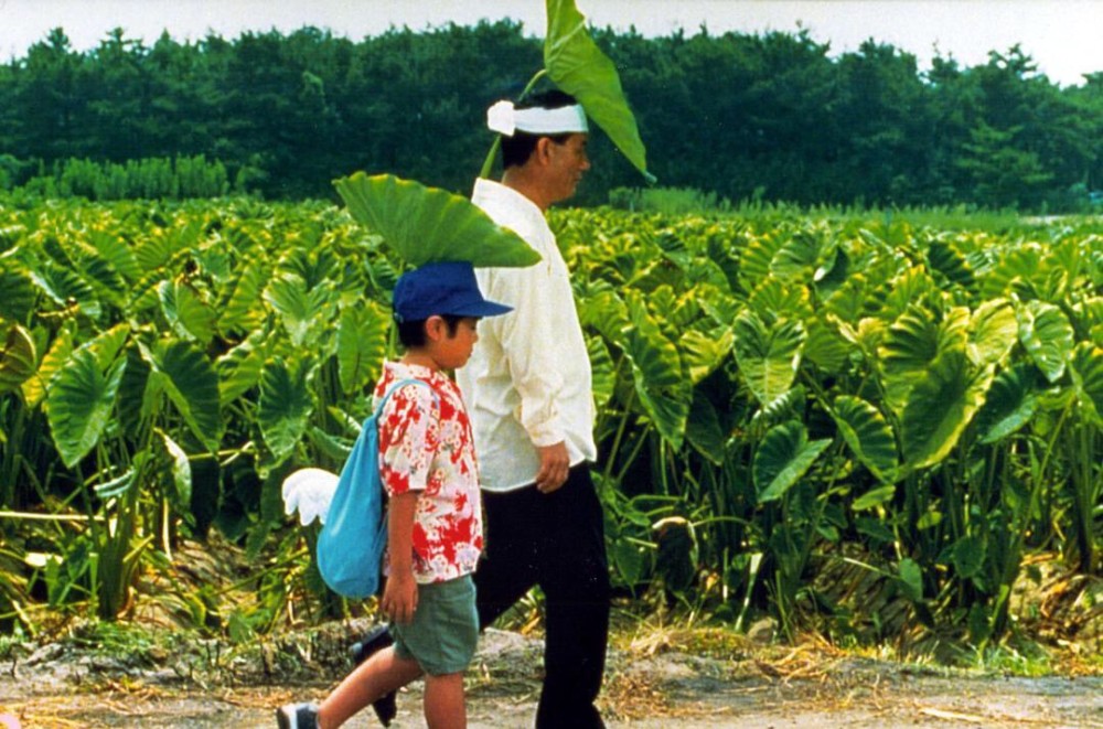 菊次郎的夏天北野武最出名的电影原来菊次郎是一个大叔