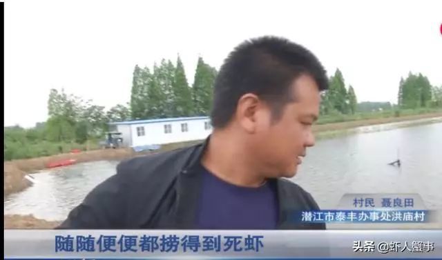 聂老总是