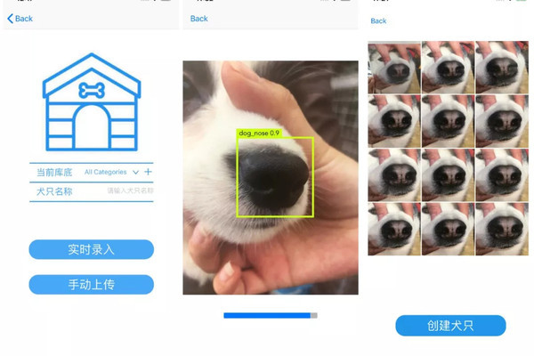 与手机上的人脸解锁功能相似,若想准确识别出狗的对应信息,需先通过