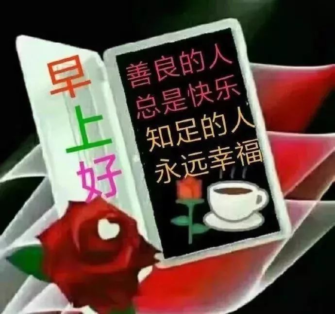 特别漂亮早上好表情图片带鲜花,2019最新版早上好动态