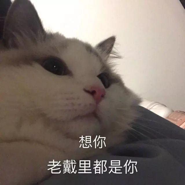 慢走不送