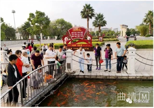 领着孩子,备上一点鱼儿喜欢吃的干粮,来和沾益区玉林广场的人工湖里的