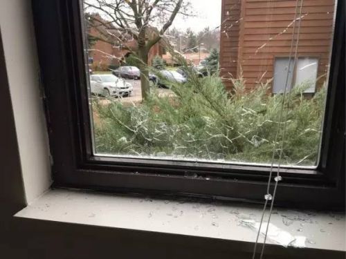 在美中国留学生枪击3名入室歹徒 1人被击毙(组图)