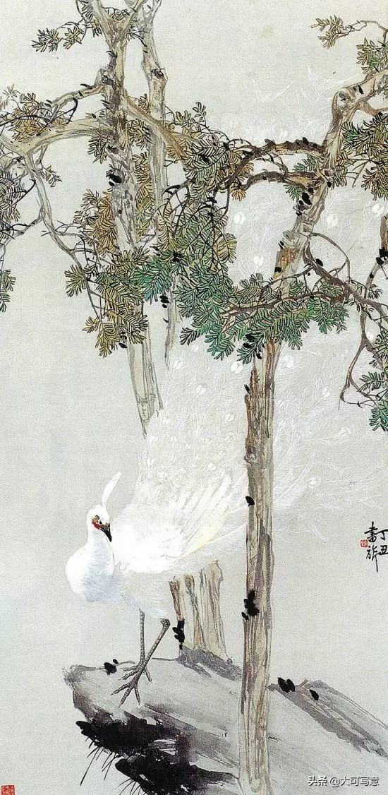 国画名家《孔雀图》品味审美