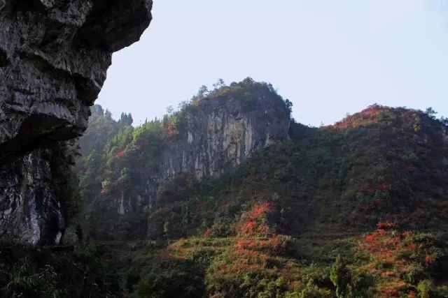 【逍遥开州乐满城】清凉避暑,纵情一夏~开州河堰镇天然空调房等你来!
