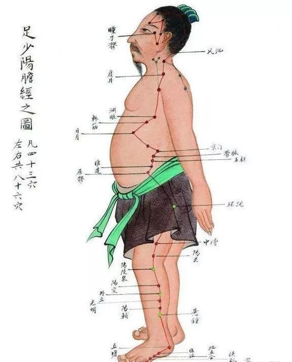 足少阳胆经是一条很长的经络,从足部延伸到头部,所涉及的部位非常