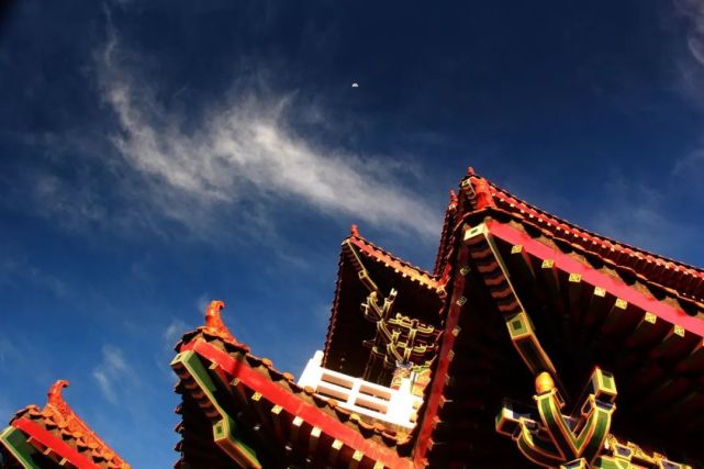 免门票！赶紧去！这次是洛阳这家5A级景区