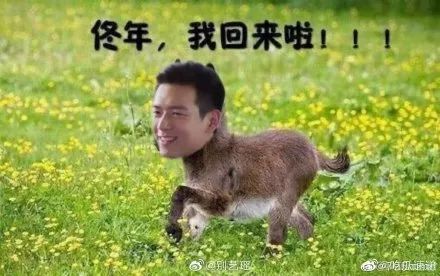 成语什么诺诺_诺诺米是什么(3)