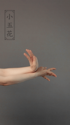 干货| 中国舞必学!古典舞手型之"小五花"动作详解