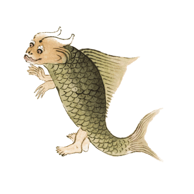 《山海经》龙鱼身份之谜:有人说它长得像龙,有人说它是虾