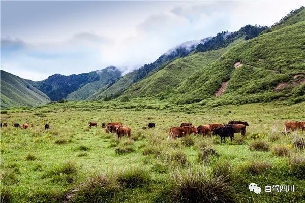 彝海之北,拖乌山半山腰有孟获城景区.