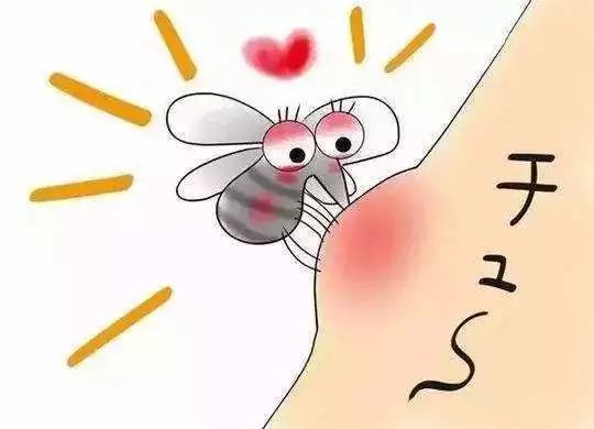 同理,蚊子送你个红包,等分泌出来的组胺慢慢代谢掉,痒麻肿胀的感觉就