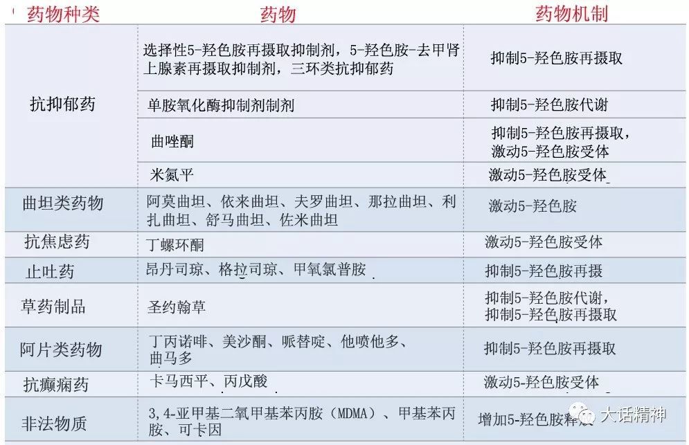 5-羟色胺综合征相关的药物作用机制包括