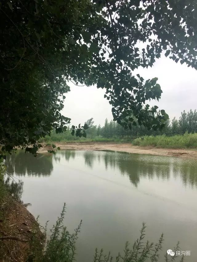 扶沟贾鲁河堤