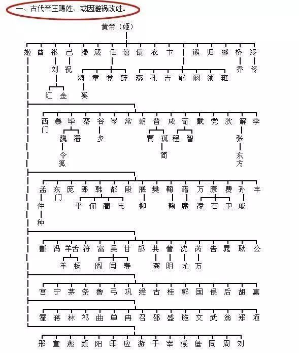 每个人的姓氏族谱都在这里了,一分钟了解!|家谱|黄帝