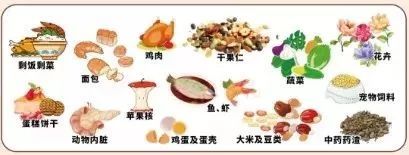 易腐垃圾要记得放入湿垃圾桶哦