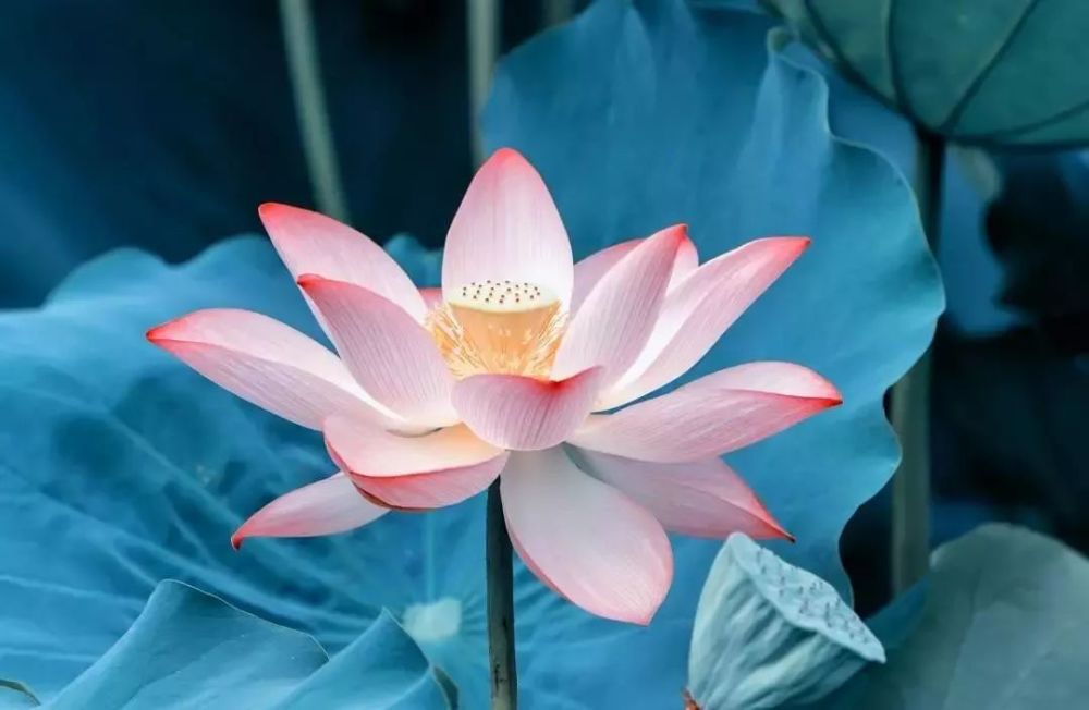 心胸宽广