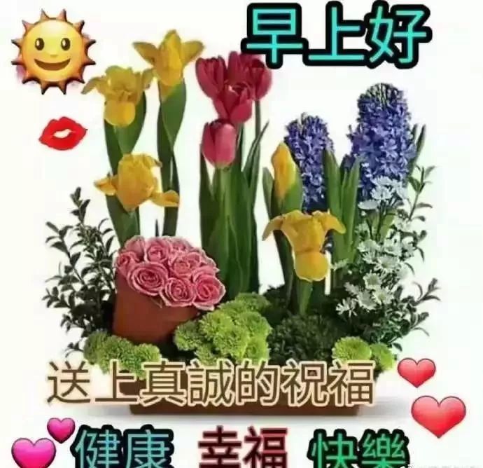 12月29日最美早上好问候祝福语动态漂亮图片,漂亮早安