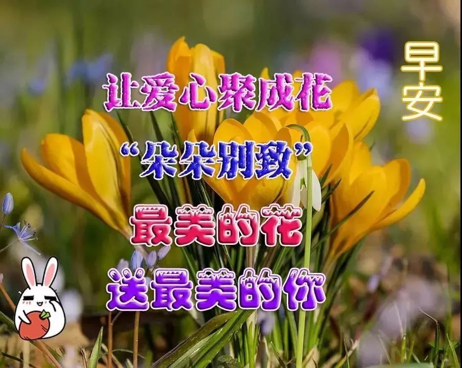 1月31日大年初七清晨早上好问候祝福动态表情图片 最美早晨好问候动态