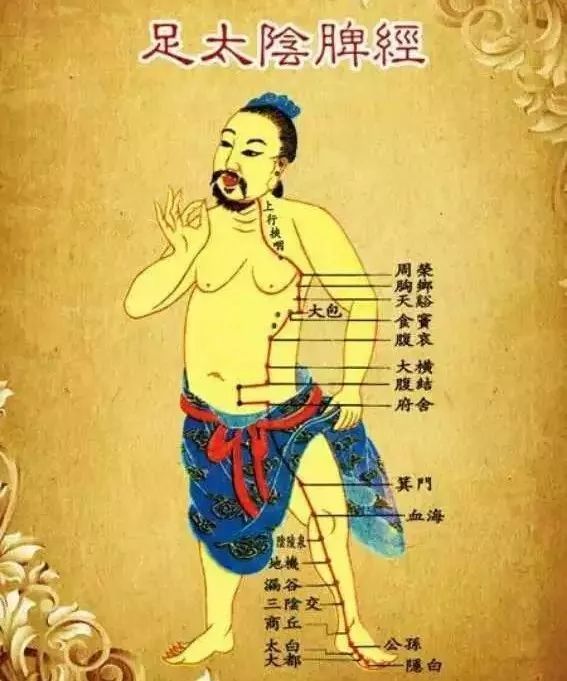 学习"揉脾经",能揉掉很多慢性病!