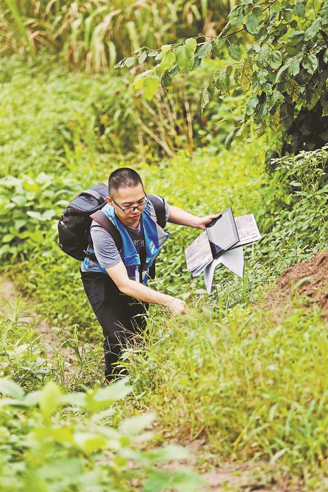 高科技摸清土地"家底 植被,车辆都能看得一清二楚