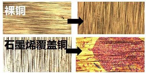 石墨烯涂层加速金属铜的腐蚀过程(裸铜和石墨烯覆盖金属铜腐蚀