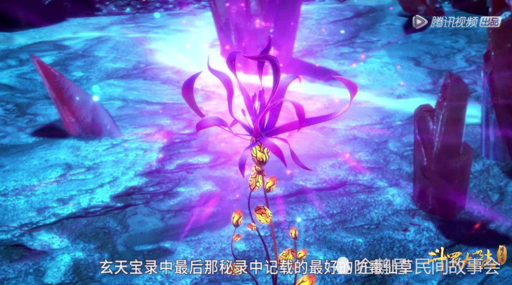 斗罗大陆:幽香绮罗仙品唯一缺陷,关键时刻致命,唐三也