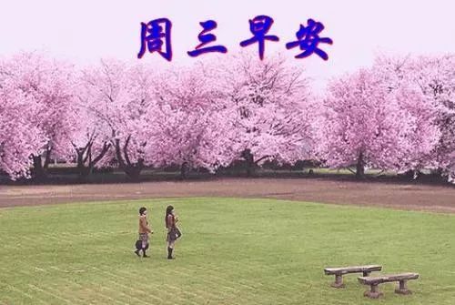 周三早安心语