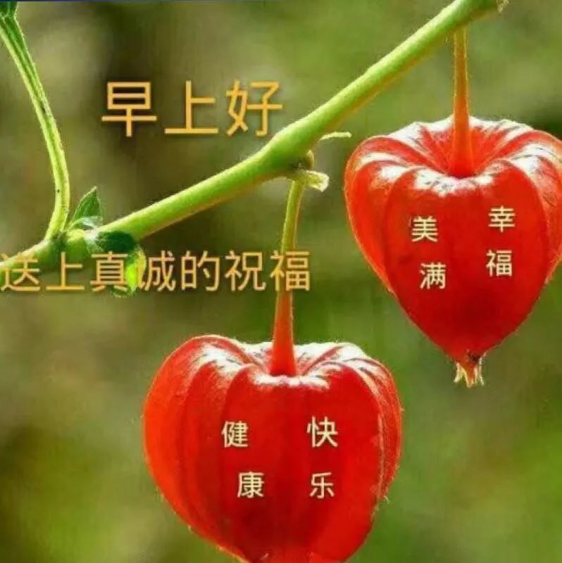 清晨送朋友的阳光早安问候语祝福,最美早上好温馨祝福短信_腾讯新闻