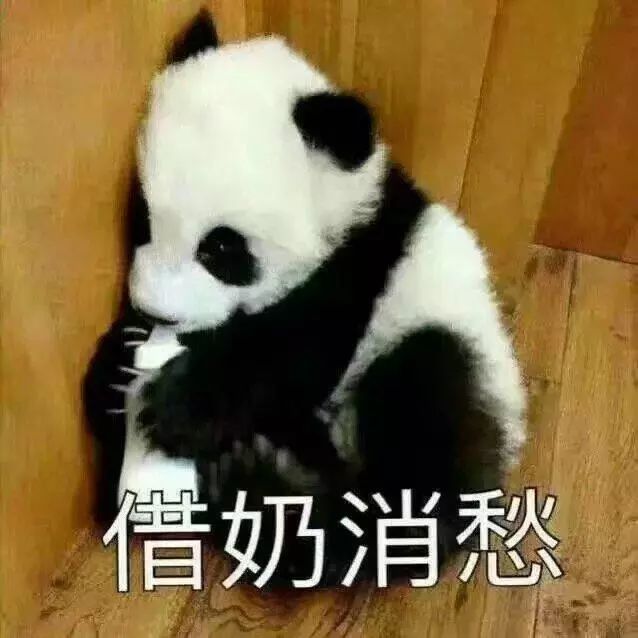 斗图表情包:八卦的眼神
