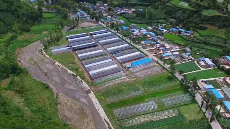 鑫源a产业产业:高原黑木耳南方电视日日香鹅肉图片