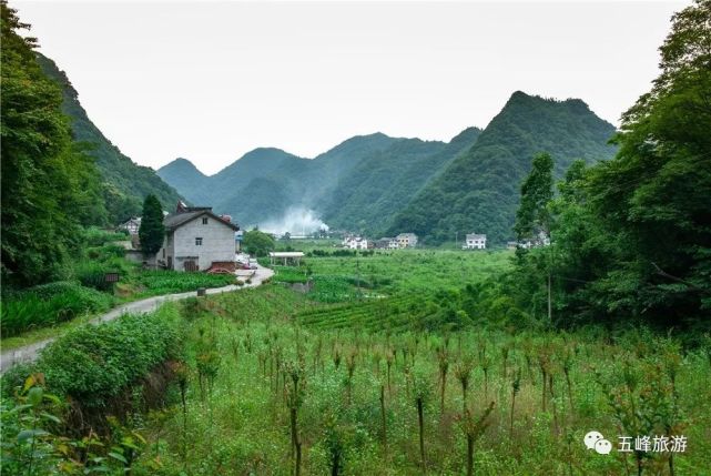 盛夏,让五峰长乐坪的高颜值民宿陪你"隐退江湖"