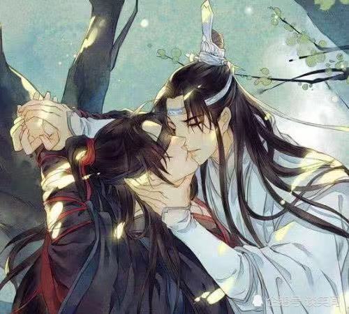 魔道祖师4对cp魏无羡和蓝忘机一对看到晓尘一人待了8年