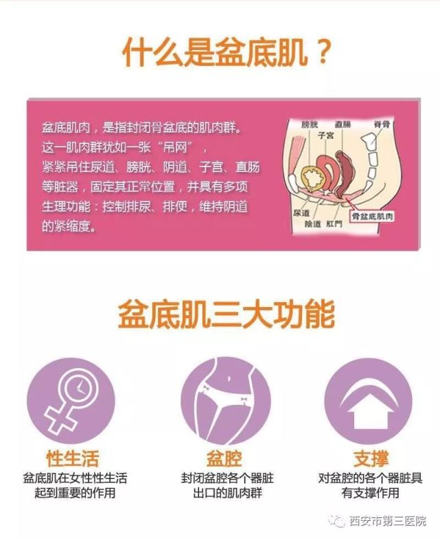 关爱女性盆底健康 远离女性"社交癌"|盆底|肌肉