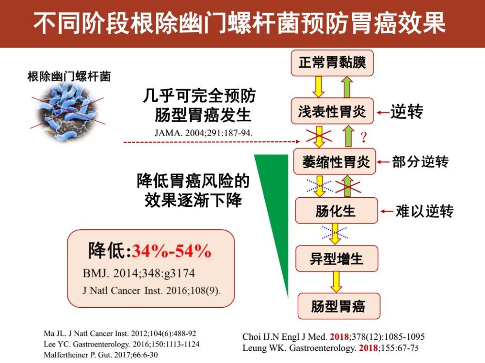 医声医事 刘文忠教授:幽门螺杆菌感染与胃癌预防的最新研究进展