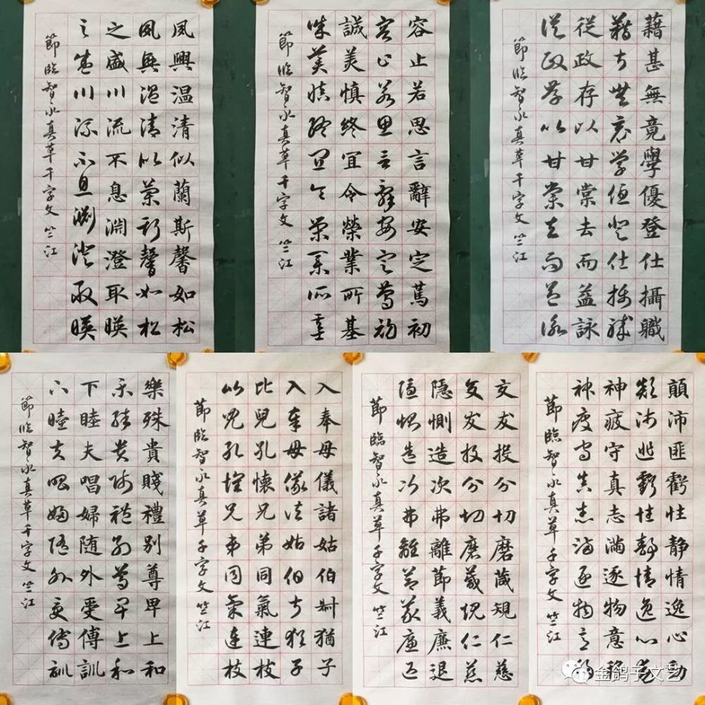 蒋竺江 ▏ 书法作品欣赏 (51幅)