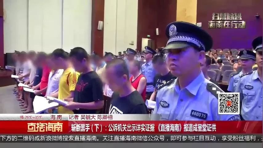 海南一黑老大被判死刑案情揭秘,曾试图收买记者反被