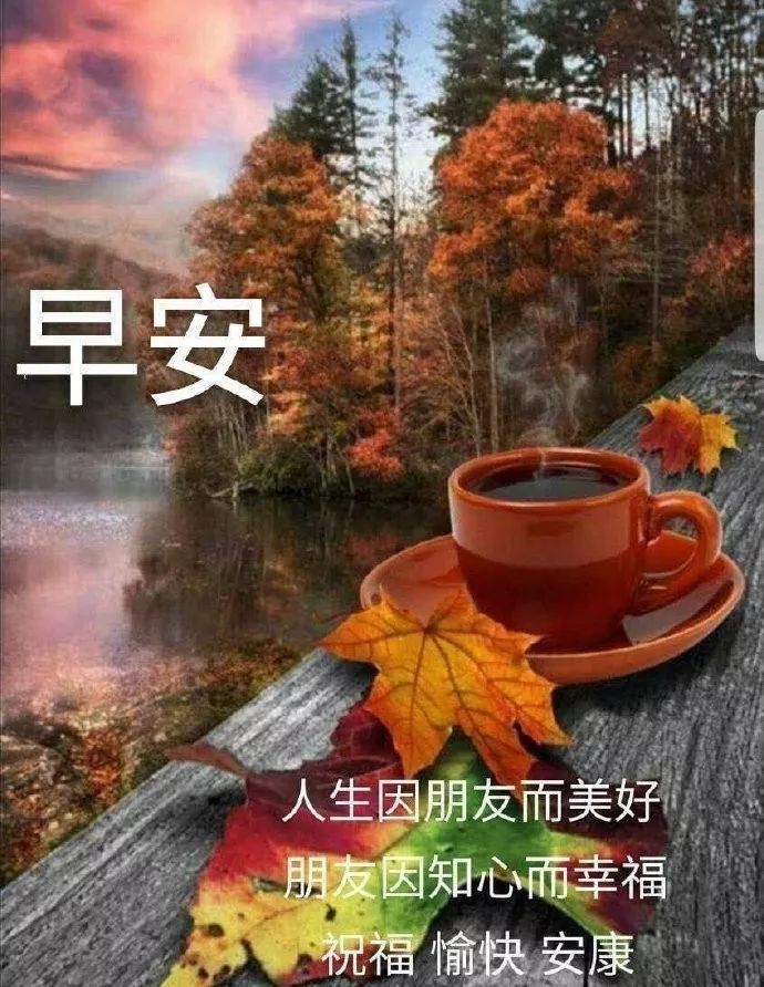 2019最新版漂亮早上好表情美图问候语,朋友圈早上好