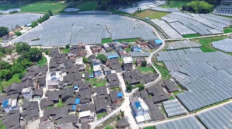 谢墩坐落于霞浦县柏洋乡, 主产高山葡萄,茶叶, 常年云雾缭绕, 绿水