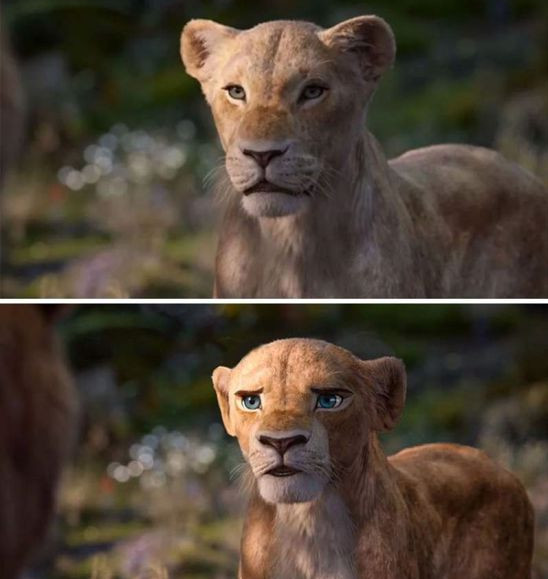 艺术家将真人版《狮子王》还原成动画,看到辛巴,让人