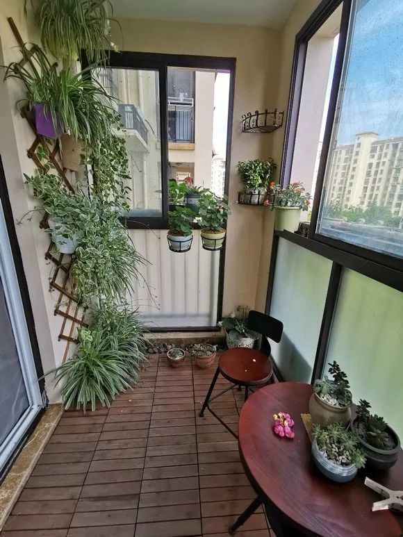 他把封闭的阳台改成开放式,种上各种花草,比花园还好看.