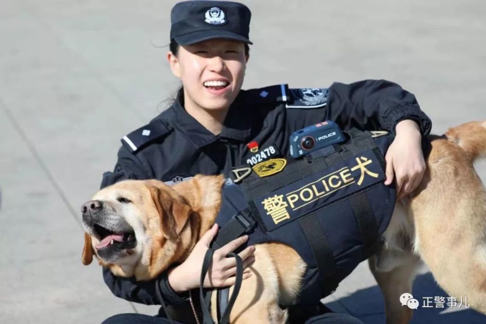 带你探秘警花如何带警犬