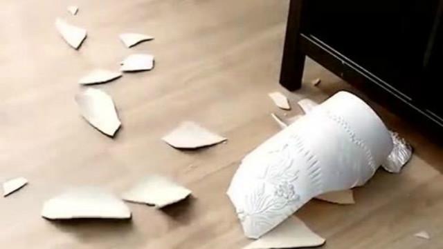 我和大哥同天去看望奶奶侄子打破花瓶我伸手打了小侄子