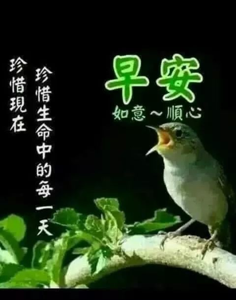 星期天早安祝福问候语,美好的一天早安祝福问候语配图