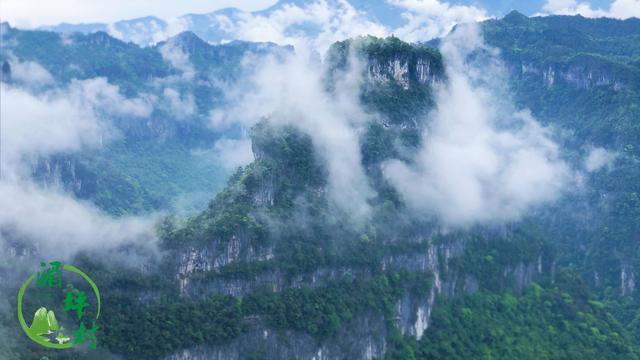 云海中的五龙山金顶