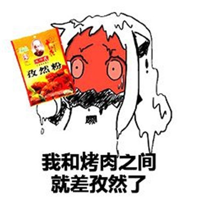 搞笑表情包我和烤肉之间就差点孜然了