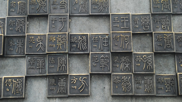 毛姓人口不多_人口普查(3)