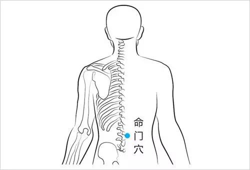 2,揉肾俞穴