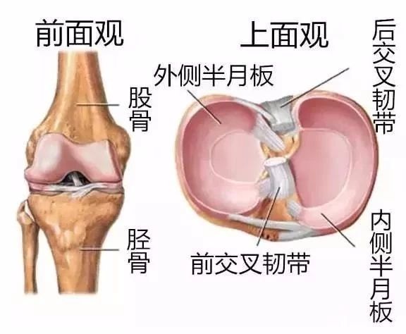 半月板损伤,不弄清楚这些你就只能被拉上手术台!